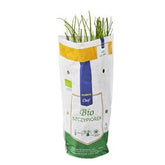 MAKRO CHEF BIO BIO SCHNITTLAUCH 1 POLNISCHE ART